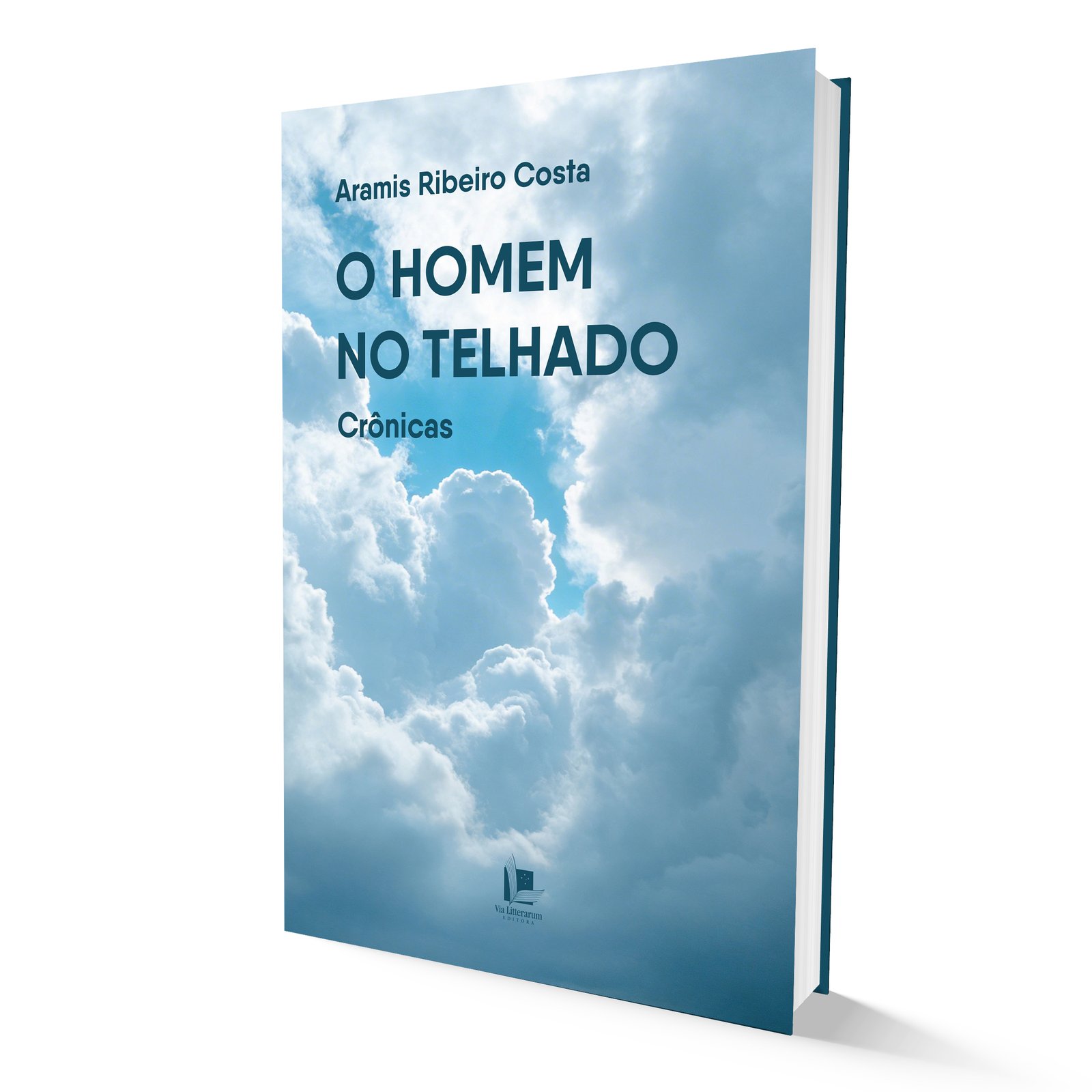 o-homem-no-telhado